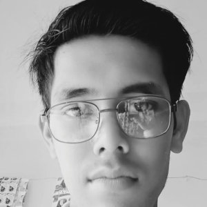 Dhiraj Gupta-Freelancer in Bhubaneswar,India