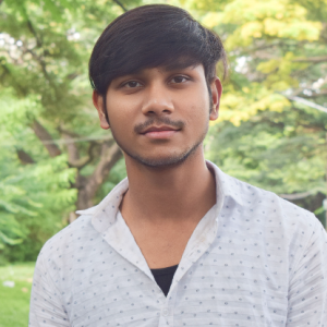 Ankit Gupta-Freelancer in Jaipur,India