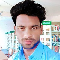 ankit-Freelancer in haryana palwal,India