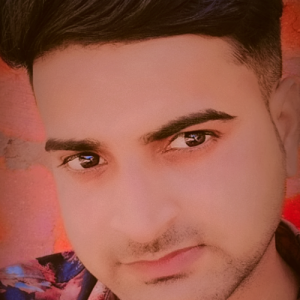 RITAM KUMAR SINGH-Freelancer in ARARIA,India