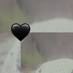 Haleema Abbasi Abbasi-Freelancer in Islamabad,Pakistan