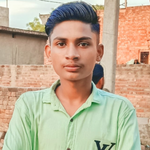 Anurag Pal-Freelancer in Muzaffarnagar,India