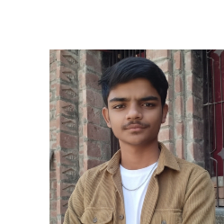 Dheeraj-Freelancer in Pratapgarh,India