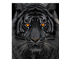 Satyam Kumar-Freelancer in Jaunpur,India