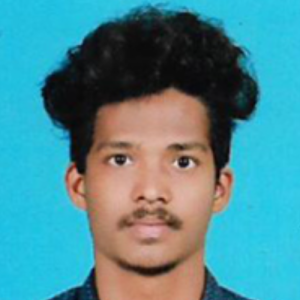 Robin Sj-Freelancer in Marthandam,India