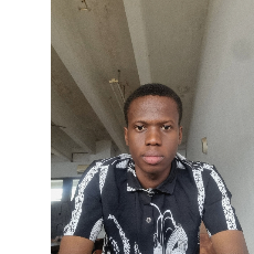 Victor Okokpujie-Freelancer in Lagos,Nigeria