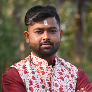 Ayan Mandal-Freelancer in surguja,India