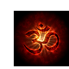 Shraddha Kurhade-Freelancer in Pune,India