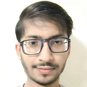 Nitin Trehan-Freelancer in Ludhiana,India