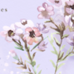 Girishma Korubilli-Freelancer in Visakhapatnam,India