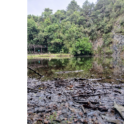 Maria Eduarda-Freelancer in Assis,Brazil