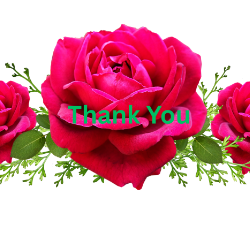 Shabnam Fatima-Freelancer in Thane,India