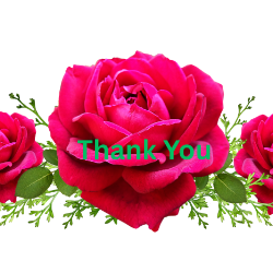 Shabnam Fatima-Freelancer in Thane,India