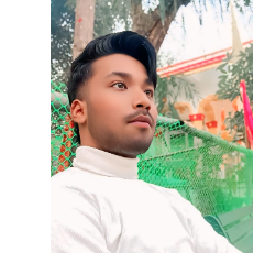 Vivek Kumar-Freelancer in Delhi,India