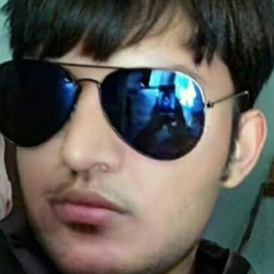 Hans Sharma-Freelancer in Jind,India