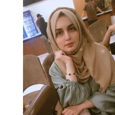 SEO Assistant | Writer | WordPress-Freelancer in Islamabad,Pakistan