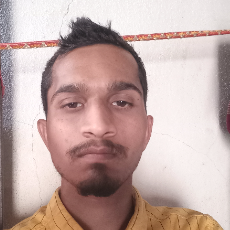 Bhagwat Manwatkar-Freelancer in Parbhani,India