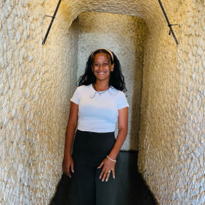 Tsenat Gosheme-Freelancer in አዲስ አበባ,Ethiopia