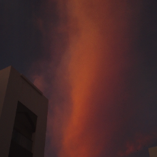 Sadeem Ziad-Freelancer in Seeb,Oman