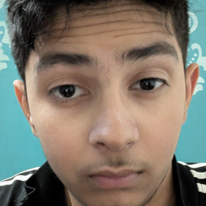 Eklavya Chaudhary-Freelancer in Noida,India