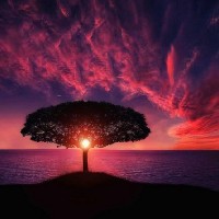 Wiam Moutaoukil-Freelancer in Agadir Ida Ou Tanane,Morocco