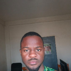Anye  Austin Che-Freelancer in Bamenda,Cameroon