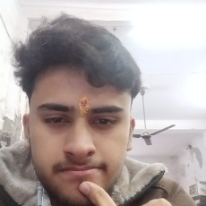 Krishna Choudhary-Freelancer in New Delhi,India