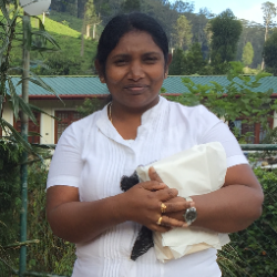 Santhoshi-Freelancer in Sri Jayawardenepura Kotte,Sri Lanka