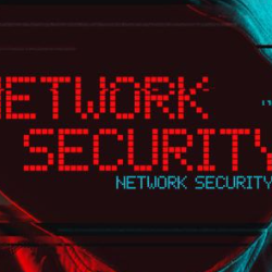 web developer-Freelancer in Islamabad,Pakistan