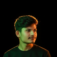 Ajay Kumar Meena-Freelancer in Alwar,India