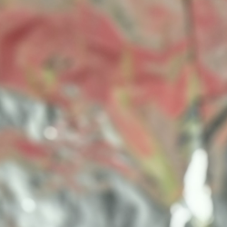 Ruan Nogueira-Freelancer in Loulé,Portugal