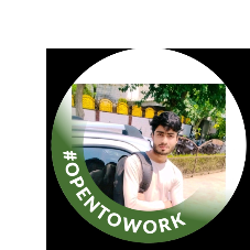 Sushant kumar-Freelancer in Sonipat,India