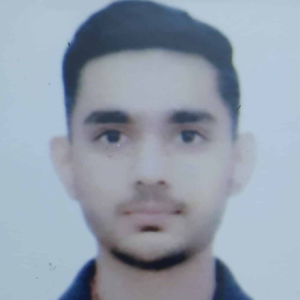 Veeraang Singh Pal-Freelancer in Lucknow,India