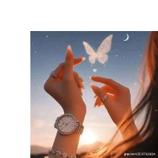 Asmaa Ass-Freelancer in Cairo,Egypt