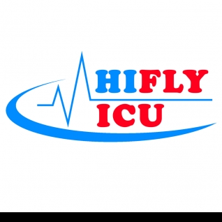 Hifly Icu Air Ambulance Services-Freelancer in Ghaziabad,India