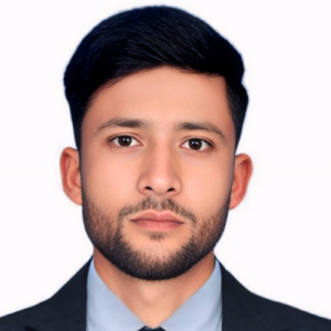 Mohd Bilal-Freelancer in Najibabad,India