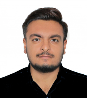 Bombay Bs-Freelancer in Gandhidham,India