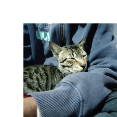 Piyush Verma-Freelancer in Katiya,India