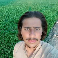 Mubarak Ali Jutt-Freelancer in Kanganwala,Pakistan