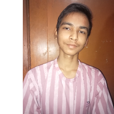 Divyanshu Kumar-Freelancer in Faridabad,India