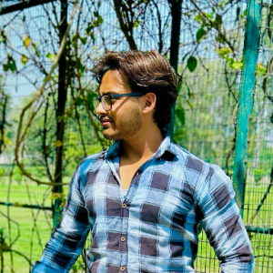 Robin Dhaniya-Freelancer in KAITHAL,India