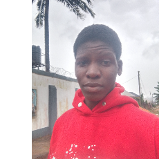 Osas Joshua-Freelancer in Benin City,Nigeria