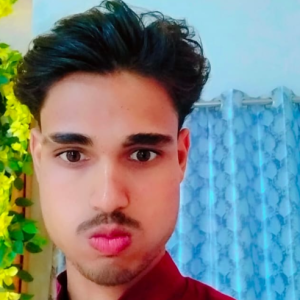 Ashish Pandey-Freelancer in Ludhiana,India