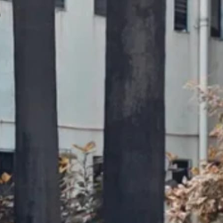 Saurabh Gupta-Freelancer in Kalyan,India