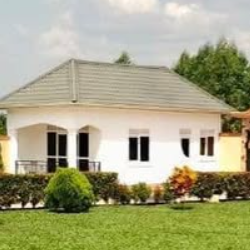 Odds Avenue-Freelancer in Najjera,Uganda