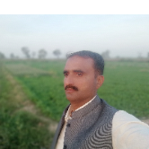 Shahzad Ali-Freelancer in Sargodha,Pakistan