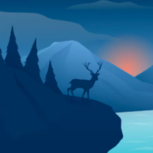 Sameer-Freelancer in Ludhiana,India