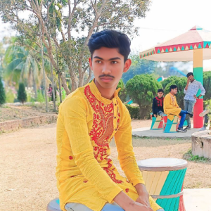 Brojesh Goldar-Freelancer in Siliguri,India