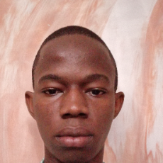 Iloka Kanyitochukwu-Freelancer in Awka,Nigeria