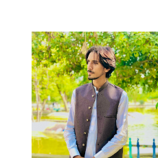 Muhammad Anees Aziz-Freelancer in Khanpur,Pakistan